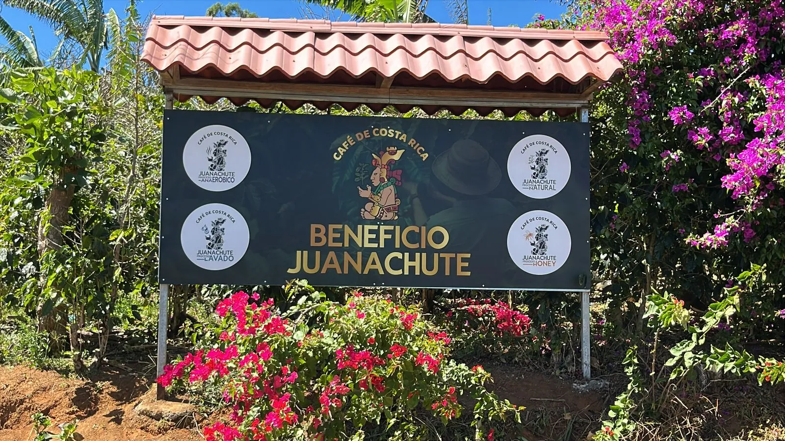 Juanachute Coffee Tour