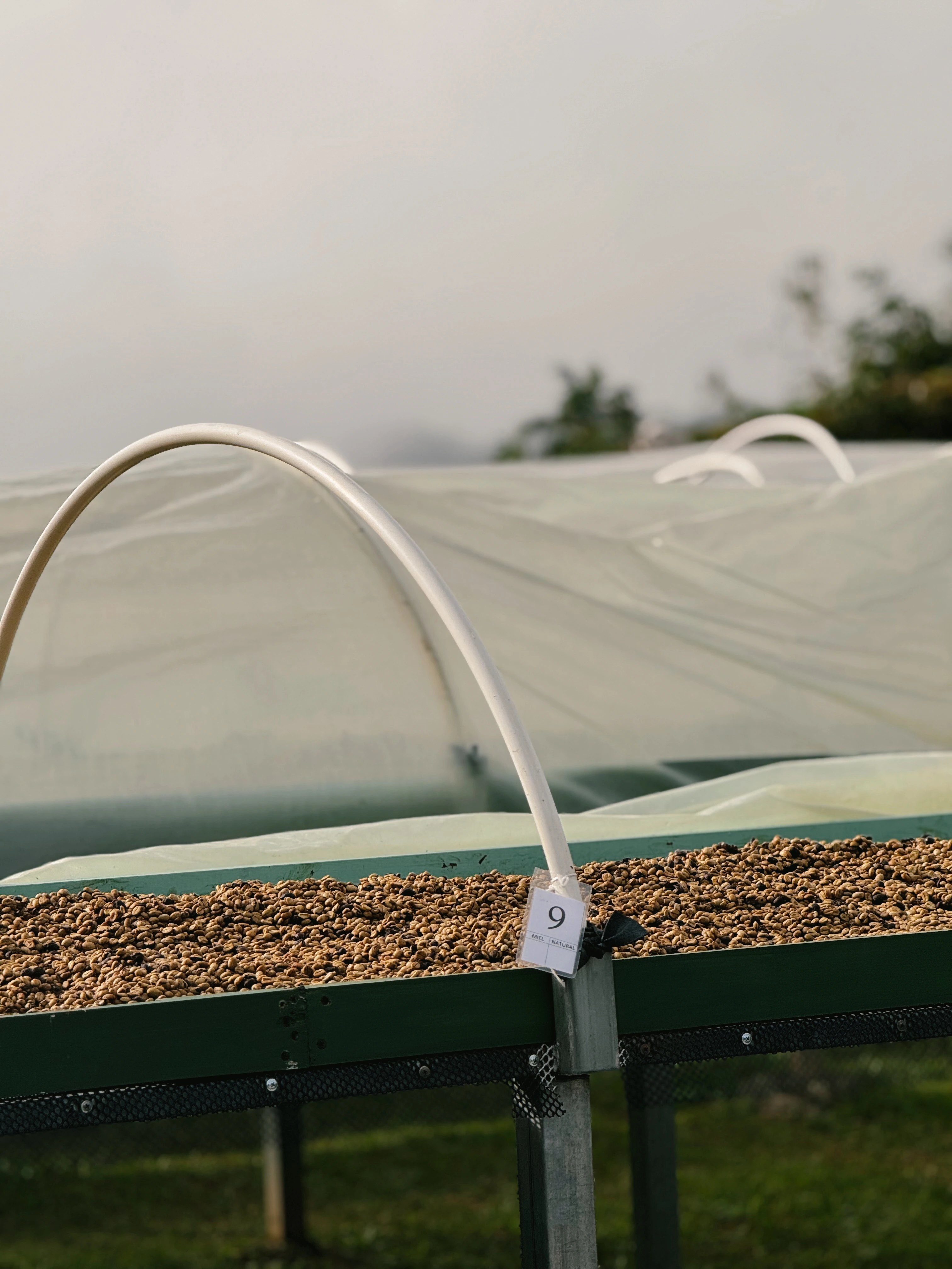 “Preserving the tradition”